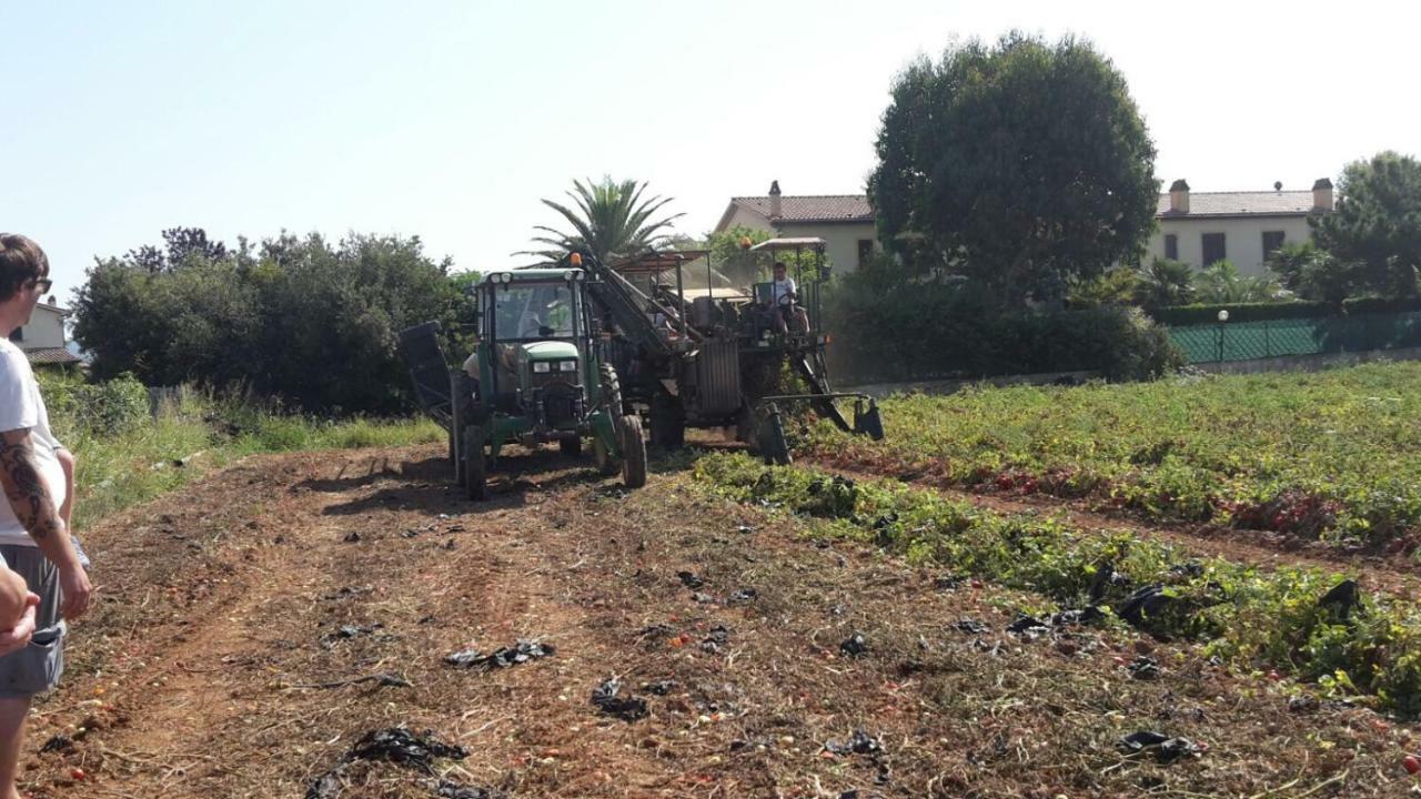 Farm stay Agriturismo Campallegro